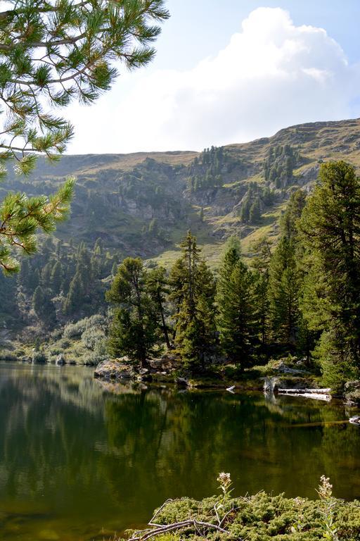 Bed and Breakfast Haus Ofner Am Kreischberg Sankt Georgen ob Murau Zewnętrze zdjęcie