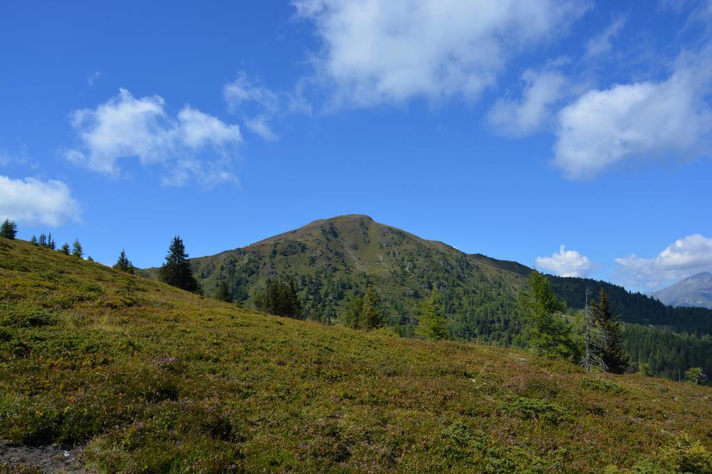 Bed and Breakfast Haus Ofner Am Kreischberg Sankt Georgen ob Murau Zewnętrze zdjęcie
